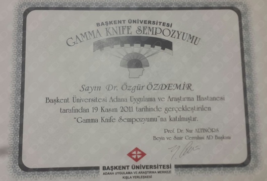 Beyin ve Sinir Cerrahisi Uzmanlık Diploması